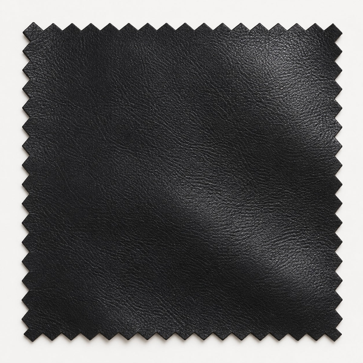 Pantalón Ecocuero 2 Broches Negro